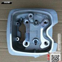 Đầu bò Fortune 125 (wh125-11)
