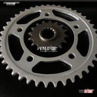 Nhông trước sau Hornet 919