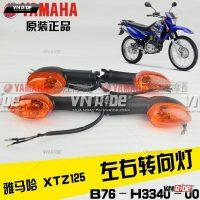 Xi nhan XTZ125 (ĐVT : Cái)