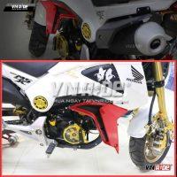 Cánh chim độ MSX125 (tùy chọn màu)