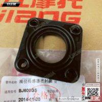 Gioăng cảm biến xăng BN600
