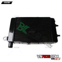 Két nước làm mát RSV1000