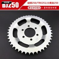 Nhông sau 43T TRK251