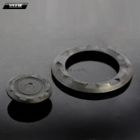 Ốp trục bánh sau SAVAGE R1200GS LC